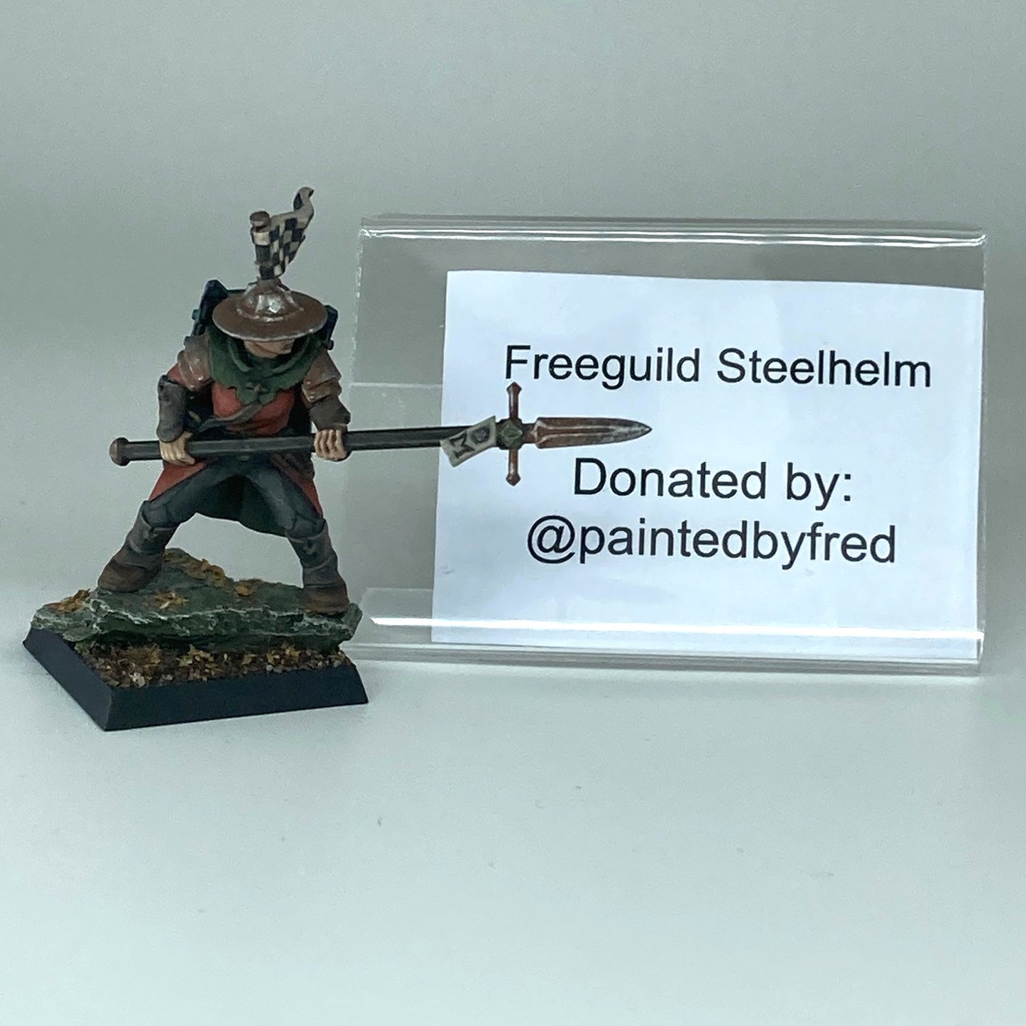 Freeguild Steelhelm - Donated By Paintedbyfred (MFMH)