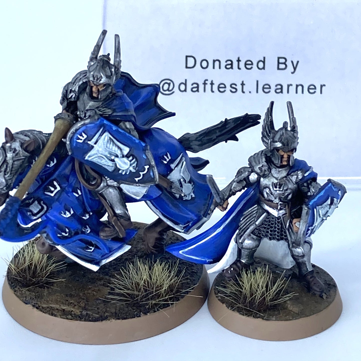 Prince Imrahil Of Dol Amroth - Donated By @daftest.learner