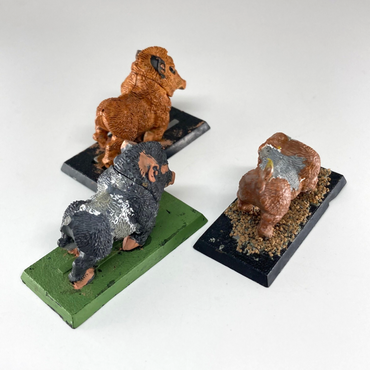 a4c0ee66-d313-4128-a894-e894dd0d048b