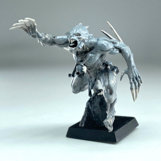Abhorrant Ghoul King - Flesh-eater Courts - Warhammer Fantasy X14252