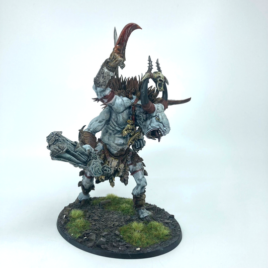 Cygor Beast of Chaos - Warhammer Age of Sigmar Games Workshop Painted (3)