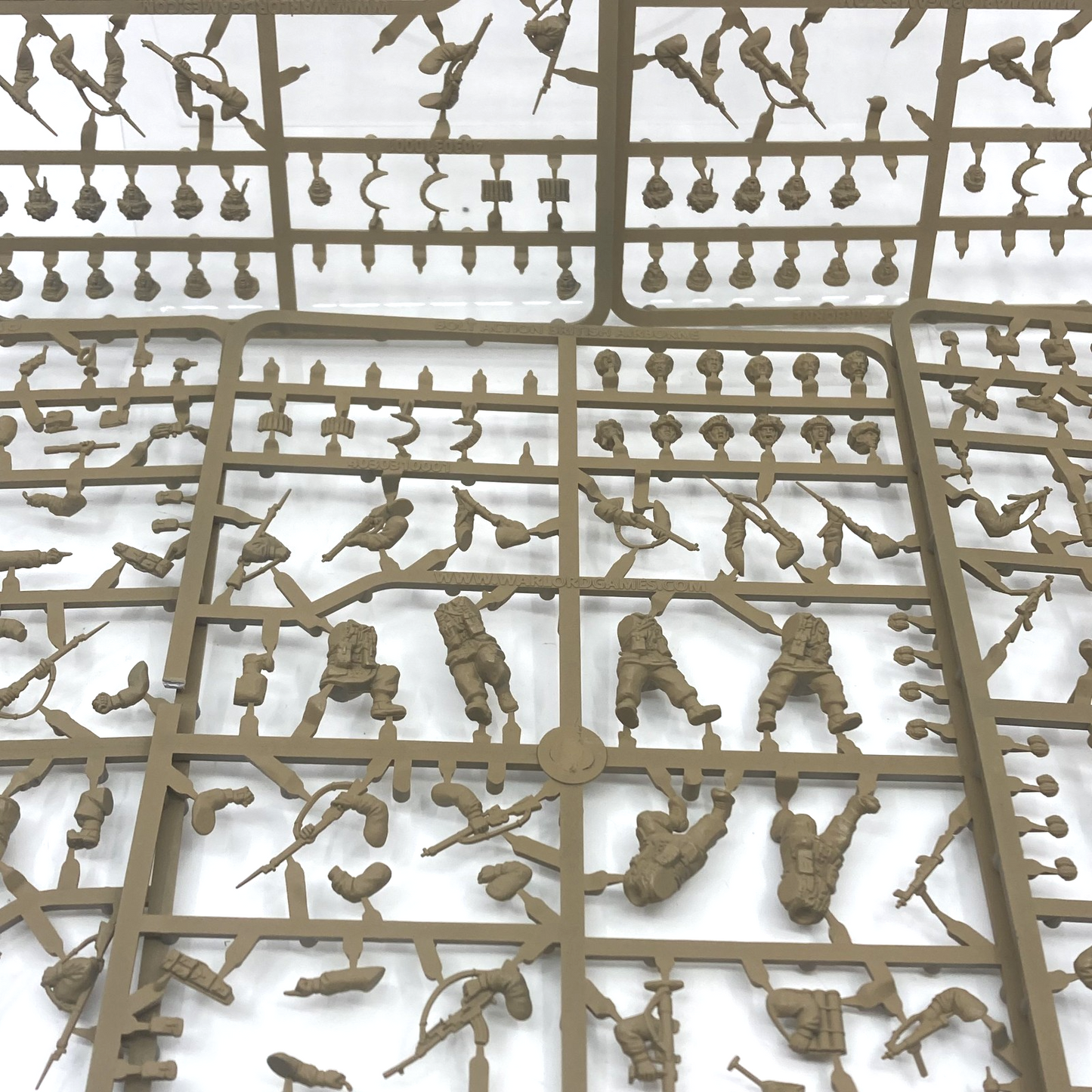 ab8b541a-06c6-49cc-acbc-d258098503a4