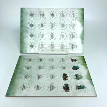 adcc9260-4340-43b6-a762-9d850b27026c