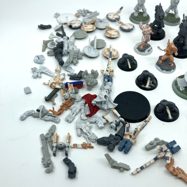 ae6b77b9-3041-4368-824a-5bda24482298