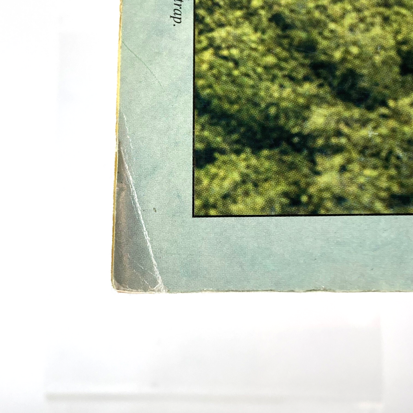 b52ac13d-683b-4dc6-a3a7-13025414b8a7