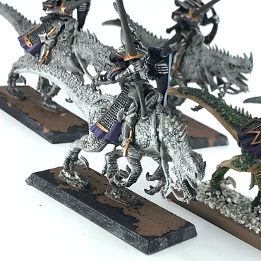 Dark Elves Cold One Knight Regiment - Warhammer Fantasy Games Workshop C4493