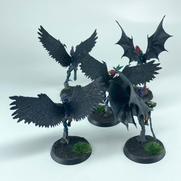 Scourges - Drukhari / Dark Eldar - Painted - Warhammer 40K Games Workshop C6345