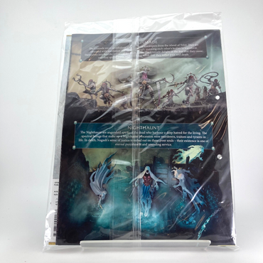 Stormbringer Issue 45 - Goblin Fanatics - Warhammer Age of Sigmar GW M1961