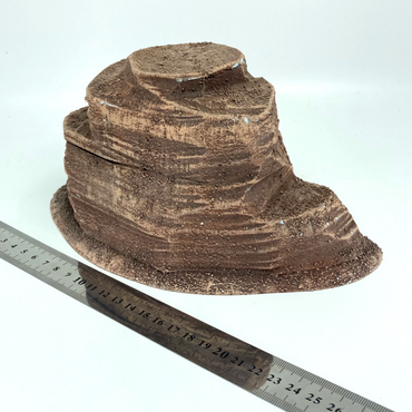 c23a02c1-e5e8-4f50-b7b0-09d88b4b97c8