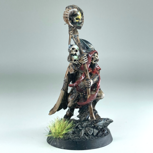 Bray Shaman - Beastmen - The Old World Warhammer Fantasy Painted X15219