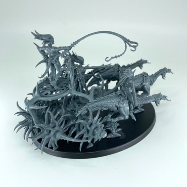 Storm Carrier / Blade Carrier - Hedonites of Slaneesh - Warhammer Age of Sigmar