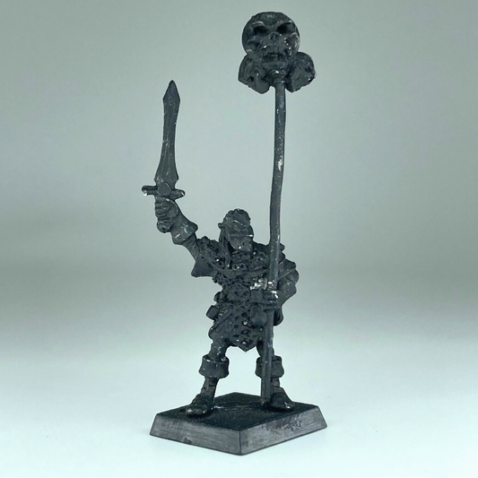 Dark Elf Standard Bearer - Dark Elves - Warhammer Fantasy Classic Metal X2125