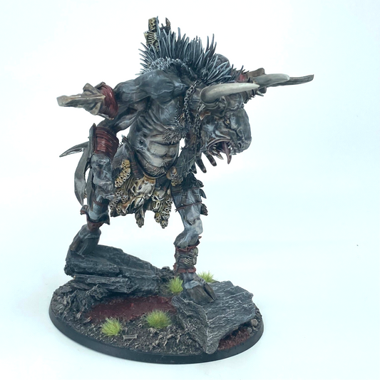 Cygor Beast of Chaos - Warhammer Age of Sigmar Games Workshop Painted (4)