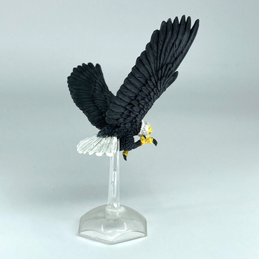 d281c504-6683-49af-9840-0e9a7b193a72