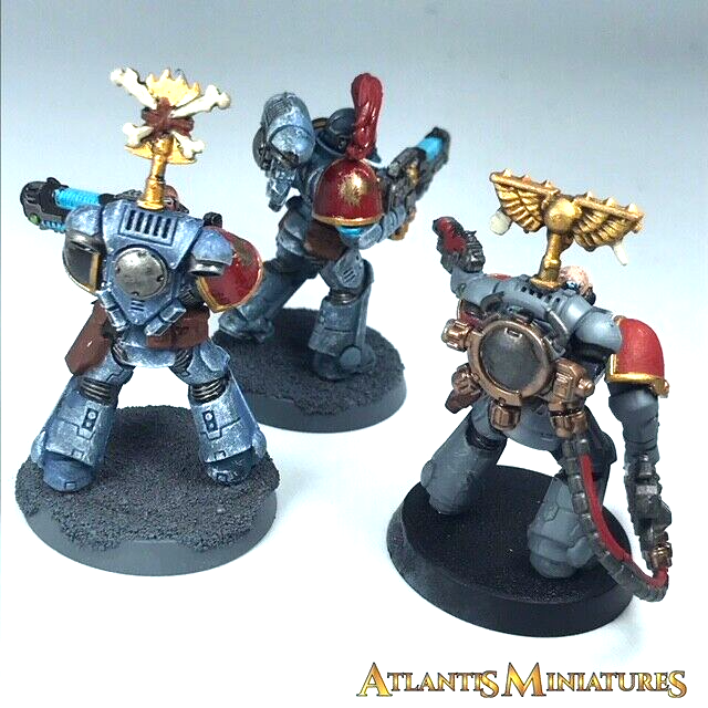 Painted Space Wolves Hellblaster Squad Primaris Space Marine Warhammer 40K C319