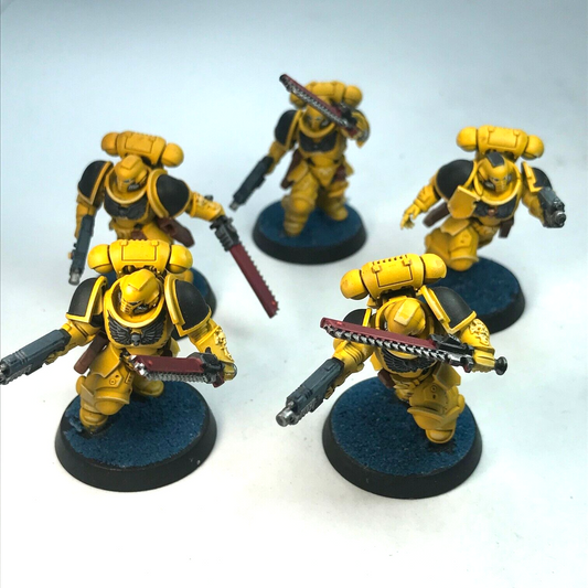 Space Marine Assault Intercessors - Painted - Warhammer 40K C776