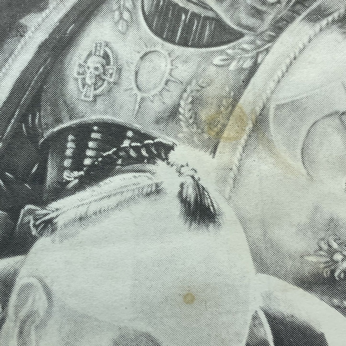 d88e484d-8fd9-4315-94de-c0296e21015c