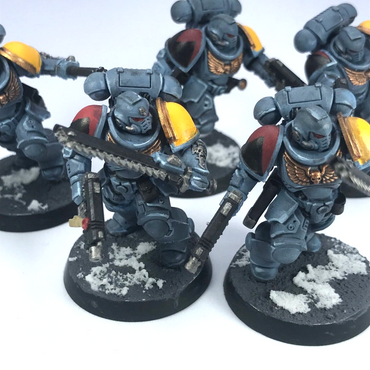 Primaris Assault Intercessors Space Wolves Space Marines - Warhammer 40K C3316