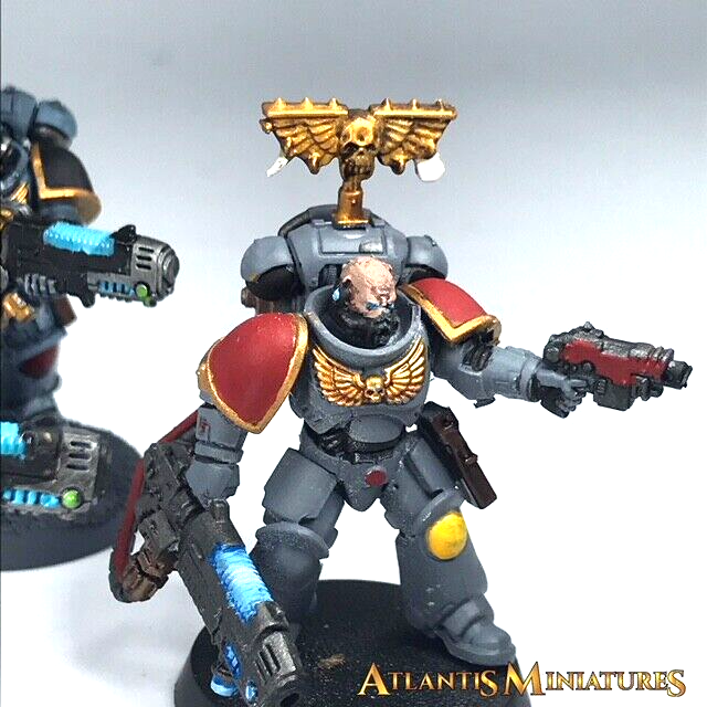 Painted Space Wolves Hellblaster Squad Primaris Space Marine Warhammer 40K C319