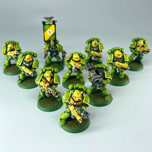 Tactical Squad - Space Marines - Painted - Warhammer 40K Games Workshop C5171