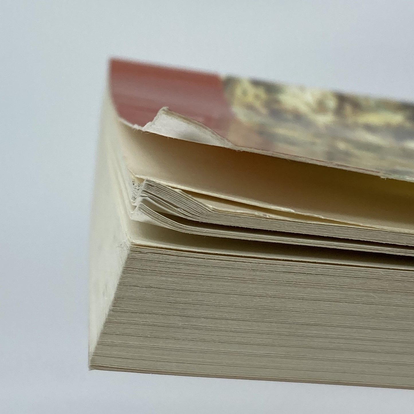 ec979801-cb3a-4ee4-b527-9292e84f1f3b