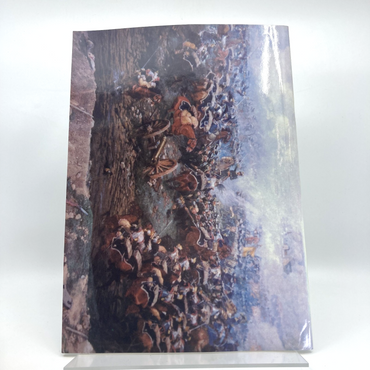 eca9cb80-8eb9-4c28-be38-4fb78536c331