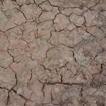 ed2a09d7-2d4e-4d7c-9df0-0d5d9f0baa9c