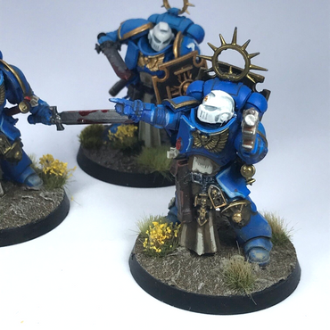 Bladeguard Veterans Space Marines - Painted - Warhammer 40K C3281