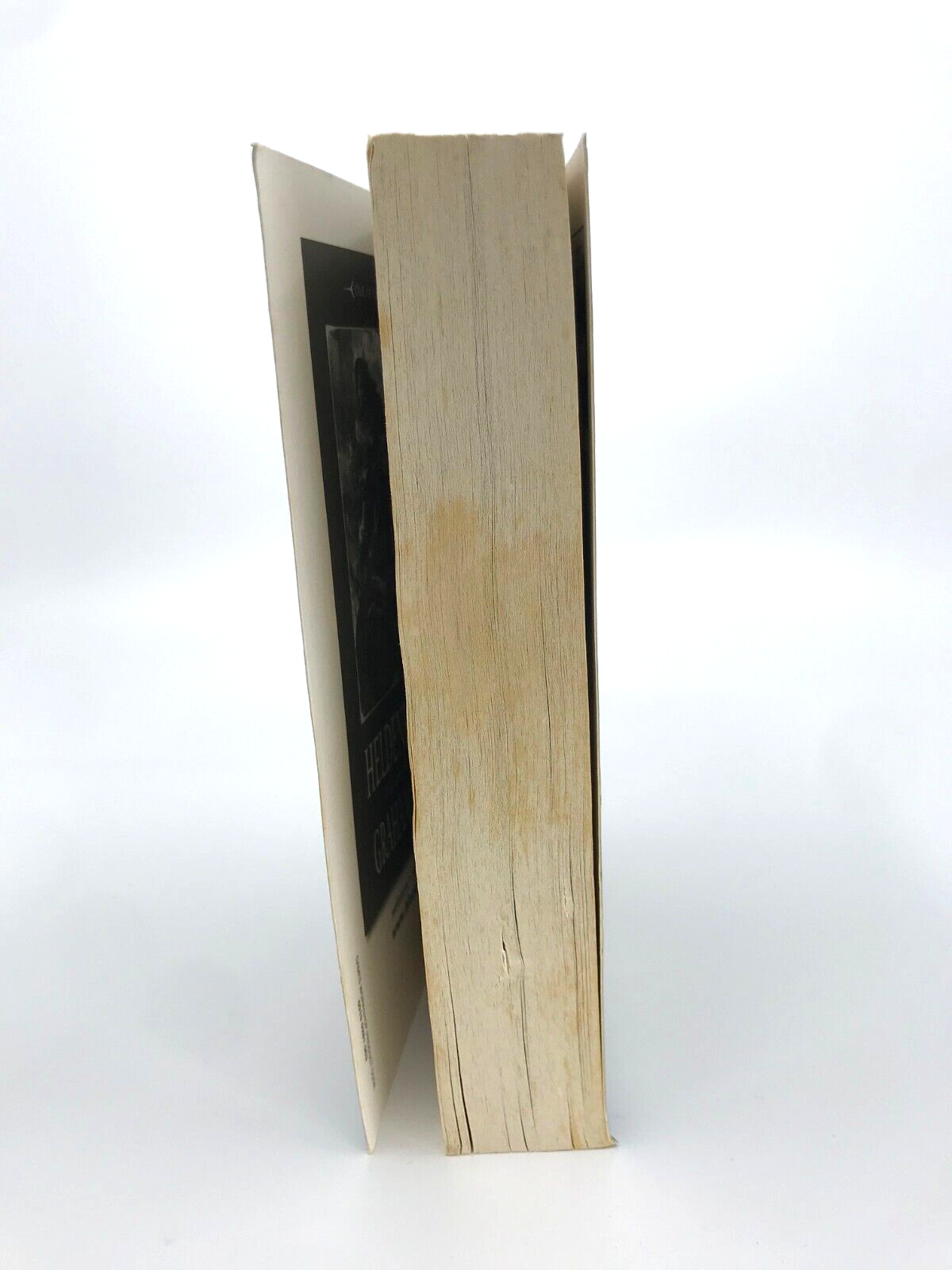 Empire The Legend of Sigmar - Graham McNeill Games Workshop M541