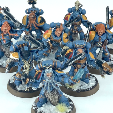 Blood Claws Squad - Space Wolves Space Marines - Painted Warhammer 40K GW C6249