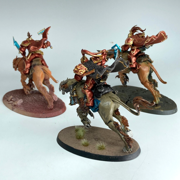 Vanguard Palladors - Stormcast Eternals - Warhammer Age of Sigmar GW BOX270