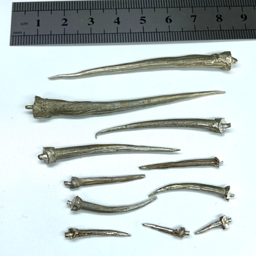 f1e9fb83-f2f6-47ac-94c7-76082f0eb302