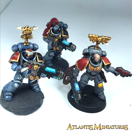 Painted Space Wolves Hellblaster Squad Primaris Space Marine Warhammer 40K C319
