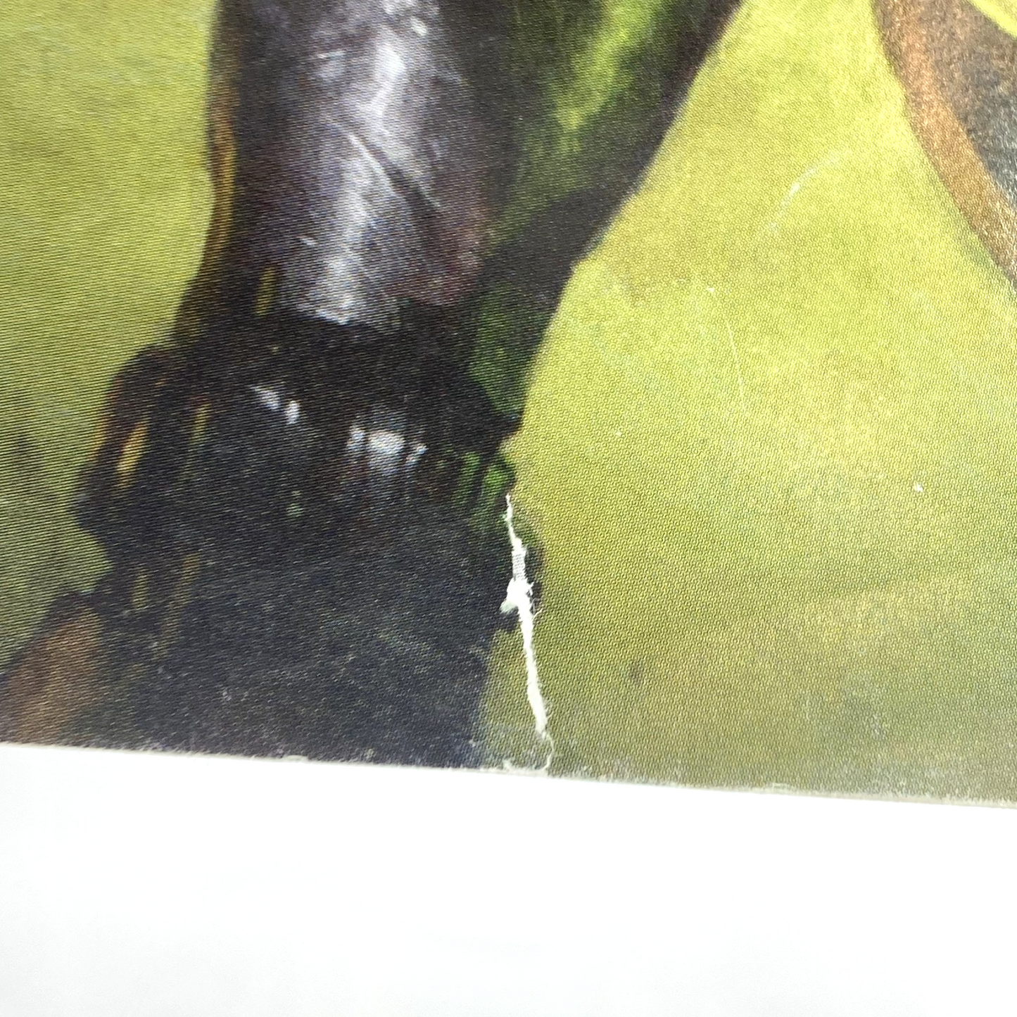 f3fdd79c-a7fa-4a96-a797-56ee902c9182