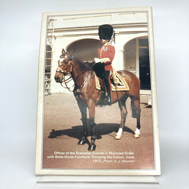 fb5f5ef6-29a9-4b4b-9ea1-a128d49b3789