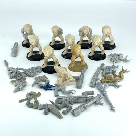 fe57865d-ab97-4655-8809-994fcadc296a