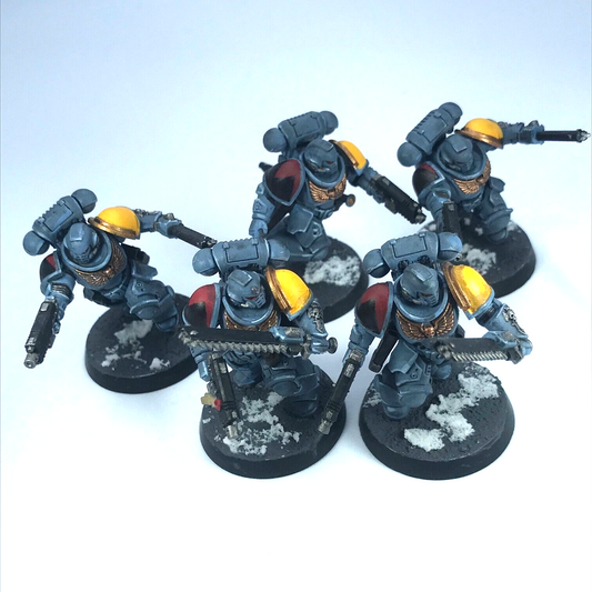 Primaris Assault Intercessors Space Wolves Space Marines - Warhammer 40K C3316