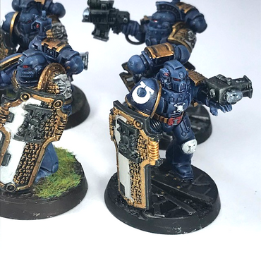 Ultramarines Veteran Squad Space Marines - Painted - Warhammer 40K C4061