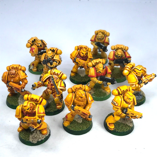 Classic Imperial Fist Tactical Squad Space Marines - Painted Warhammer 40K C3437