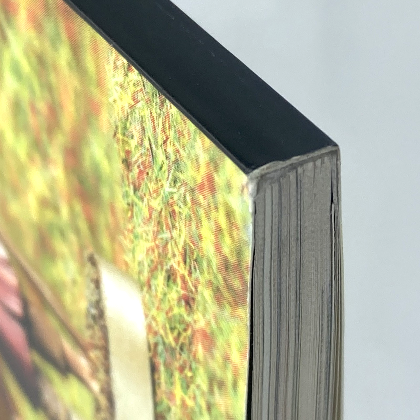 01bc2933-ee95-4b3b-8451-2aaf6e29ae2c