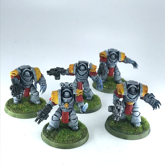 Cataphractii Terminators Squad Space Wolves - Painted - Warhammer 40K C4918