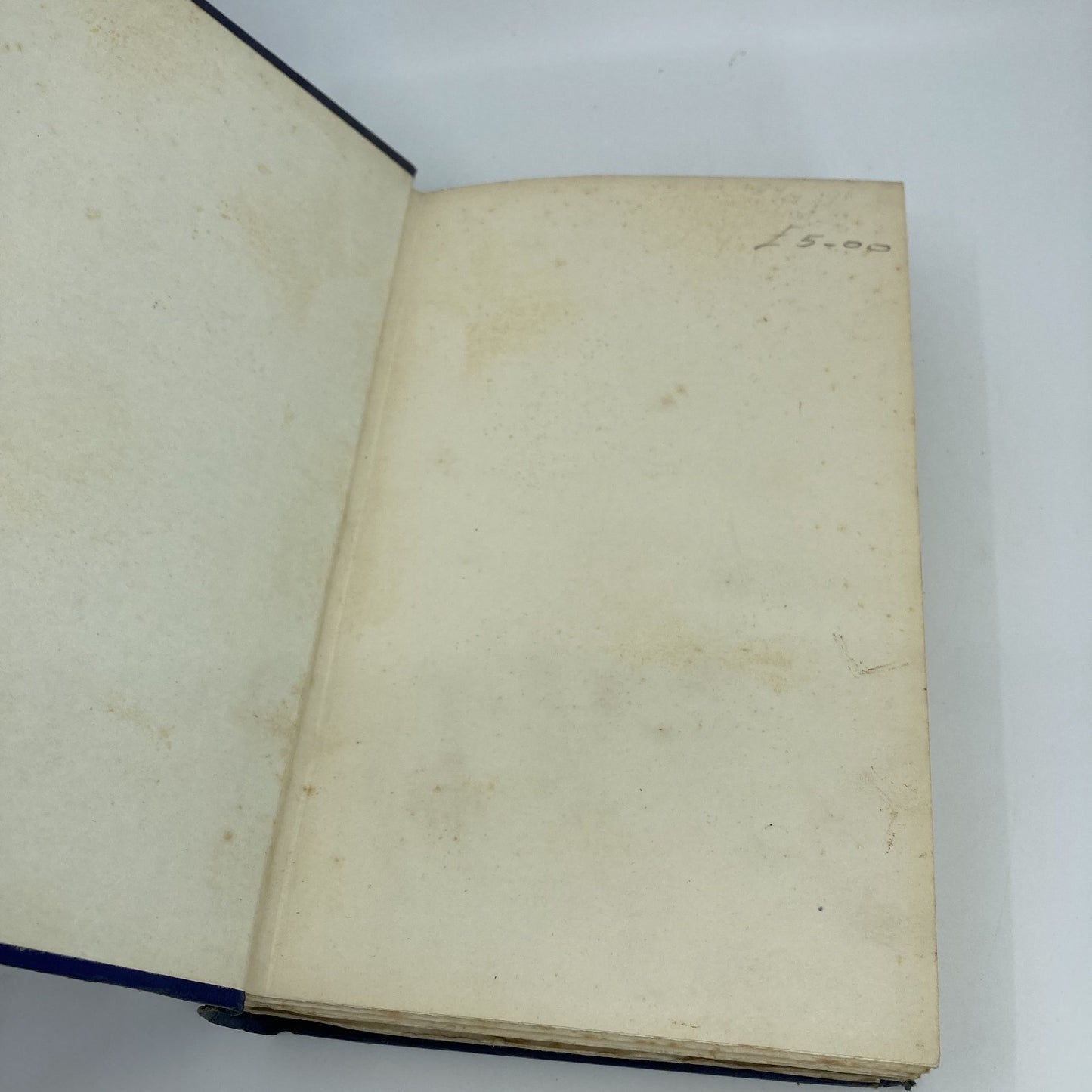 0283473f-70bc-4955-a6d6-d60197a8cb75