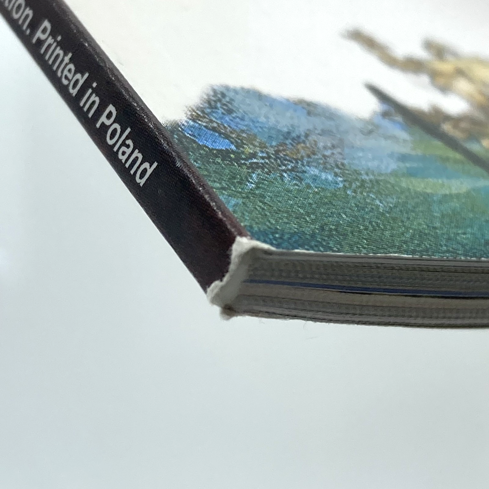 0380b247-da9e-41b5-bd75-052287eb8a24