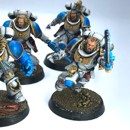 Assault Intercessors Space Wolves Space Marines - Painted - Warhammer 40K C3007