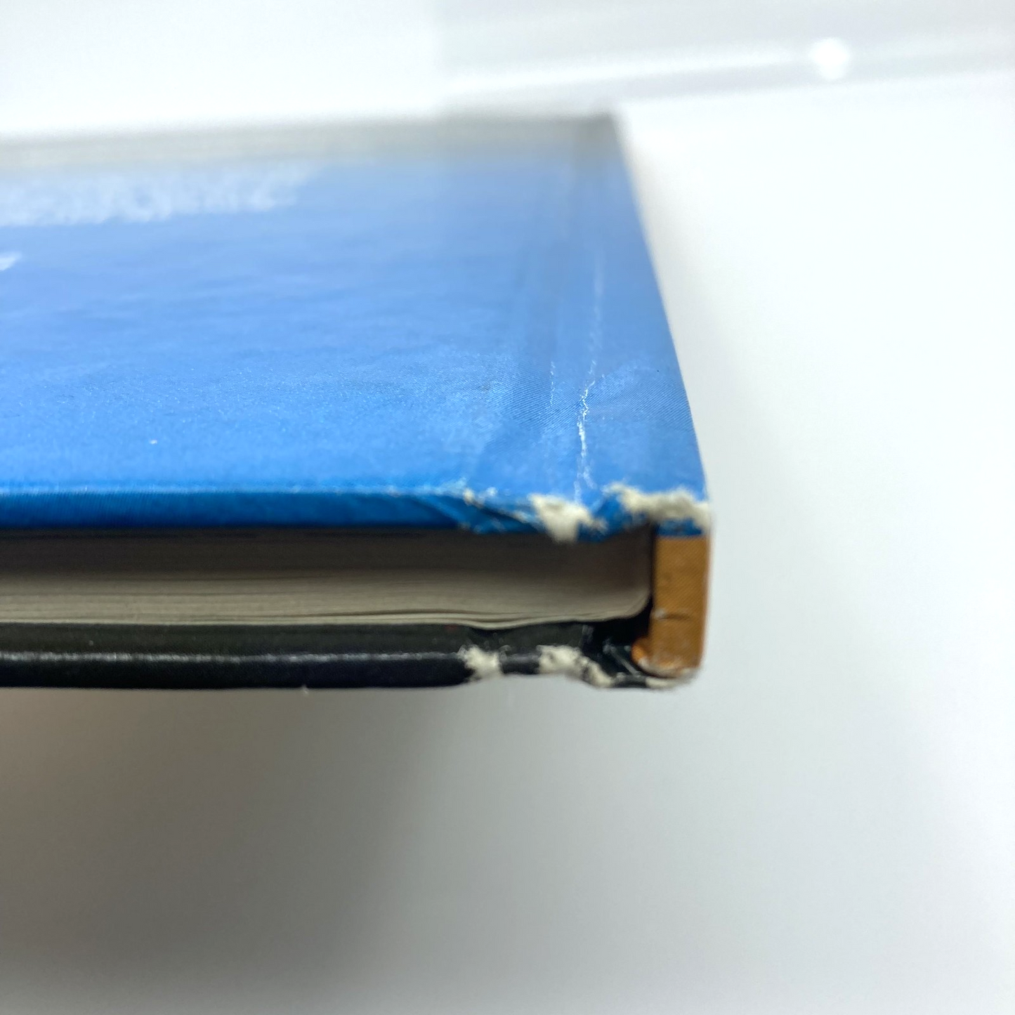 0698350f-3d81-4c9d-9b0e-13939fc043d4