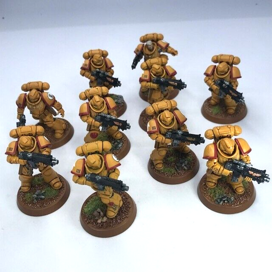 Imperial Fists Primaris Intercessors Space Marines - Warhammer 40K Painted C4761