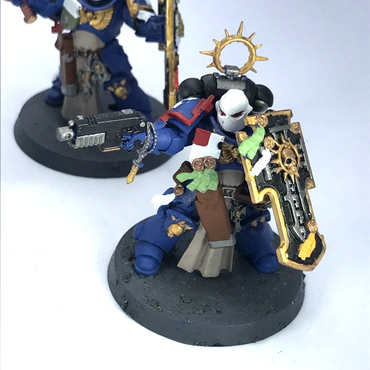 Bladeguard Veterans Ultramarines Space Marines - Painted - Warhammer 40K C3048