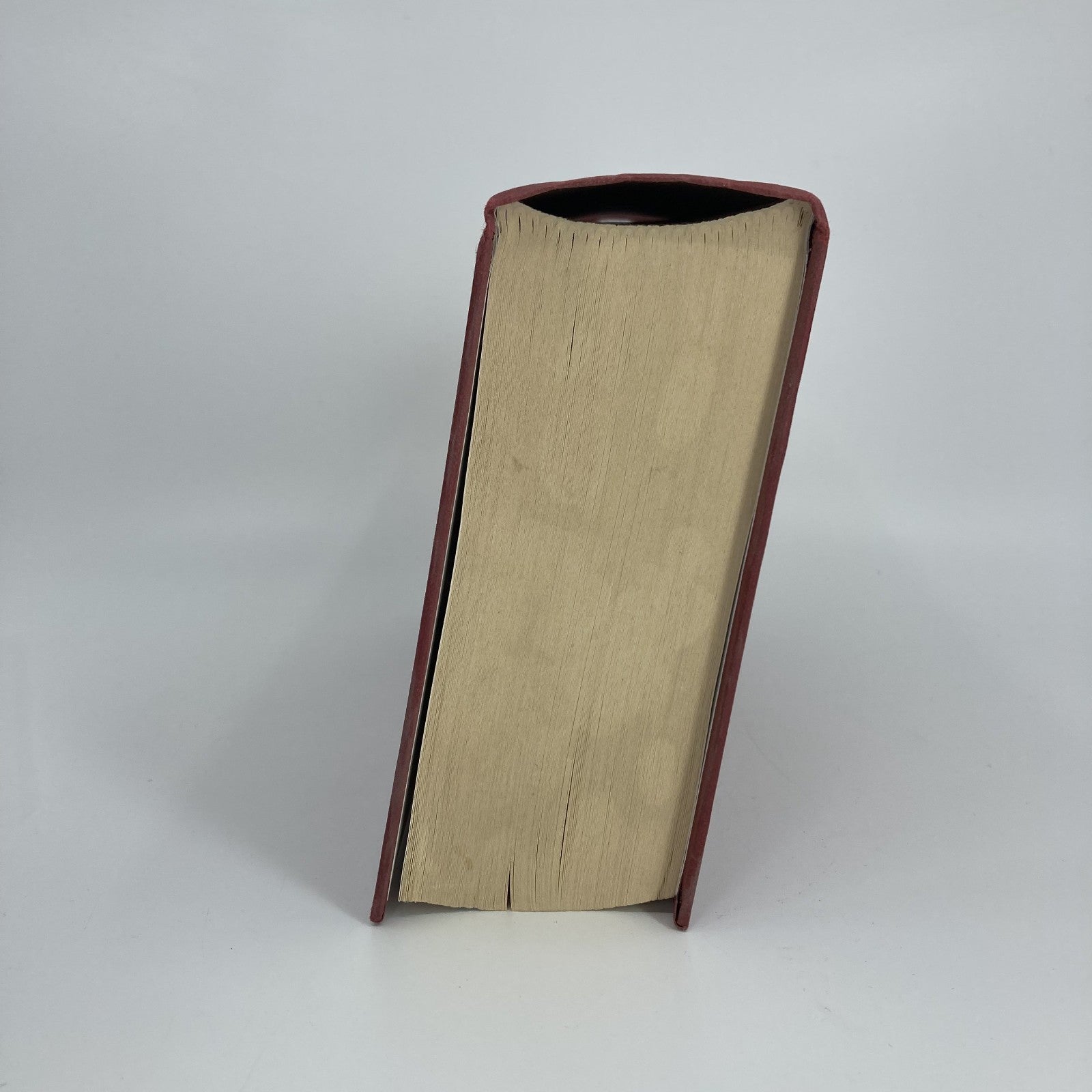 08246fde-45a7-4461-8cea-dd4df051f7e4