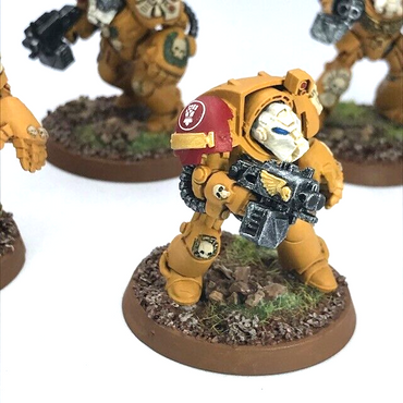 Imperial Fists Terminator Squad Space Marines - Warhammer 40K Painted C4768