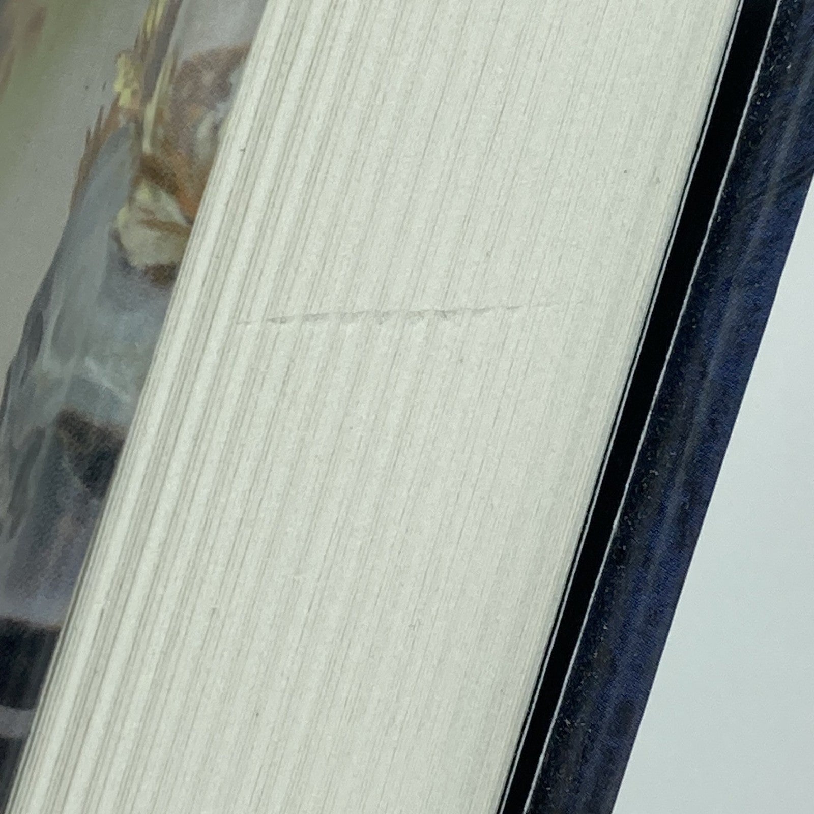 0964f571-f1ea-4385-8c87-28f79f9b13a0